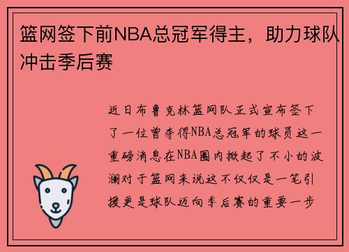 篮网签下前NBA总冠军得主，助力球队冲击季后赛